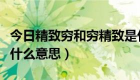 今日精致穷和穷精致是什么意思（“精致”是什么意思）