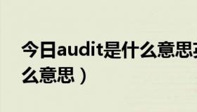 今日audit是什么意思英语翻译（audit是什么意思）