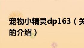 宠物小精灵dp163（关于宠物小精灵dp163的介绍）