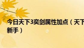 今日天下3奕剑属性加点（天下3奕剑怎么加点和技能.....我新手）