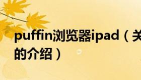 puffin浏览器ipad（关于puffin浏览器ipad的介绍）