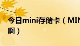 今日mini存储卡（MINI SD卡的卡托多少钱啊）