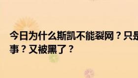 今日为什么斯凯不能裂网？只是京东购物的图。发生了什么事？又被黑了？