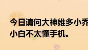 今日请问大神维多小乔1999怎么样？贵吗？小白不太懂手机。