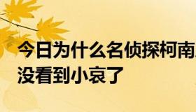 今日为什么名侦探柯南后面7百几十集的时候没看到小哀了