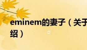 eminem的妻子（关于eminem的妻子的介绍）