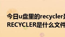 今日u盘里的recycler是什么意思（U盘里的RECYCLER是什么文件夹）