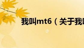 我叫mt6（关于我叫mt6的介绍）