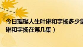 今日璀璨人生叶琳和宇扬多少集在一起的（璀璨人生吻戏叶琳和宇扬在第几集）