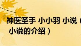 神医圣手 小小羽 小说（关于神医圣手 小小羽 小说的介绍）