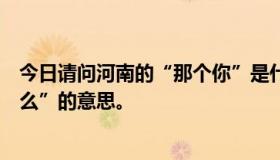 今日请问河南的“那个你”是什么意思？在日语里不是“什么”的意思。