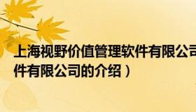 上海视野价值管理软件有限公司（关于上海视野价值管理软件有限公司的介绍）