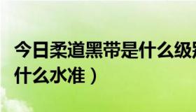 今日柔道黑带是什么级别（柔道黑带二段属于什么水准）