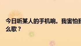 今日听某人的手机响。我害怕我会不知不觉地爱上你。是什么歌？