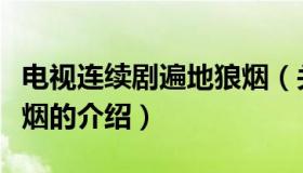 电视连续剧遍地狼烟（关于电视连续剧遍地狼烟的介绍）