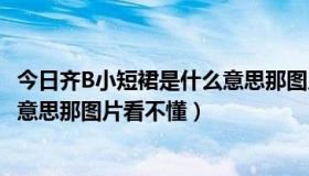 今日齐B小短裙是什么意思那图片看不懂（齐B小短裙是什么意思那图片看不懂）