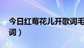 今日红莓花儿开歌词毛不易（红莓花儿开 歌词）