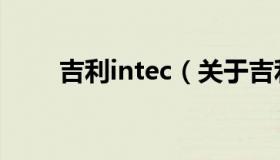 吉利intec（关于吉利intec的介绍）