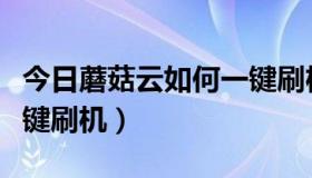 今日蘑菇云如何一键刷机教程（蘑菇云如何一键刷机）