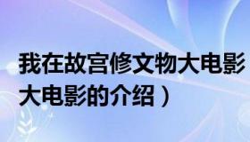 我在故宫修文物大电影（关于我在故宫修文物大电影的介绍）