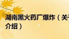 湖南黑火药厂爆炸（关于湖南黑火药厂爆炸的介绍）