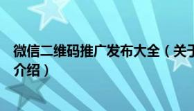 微信二维码推广发布大全（关于微信二维码推广发布大全的介绍）