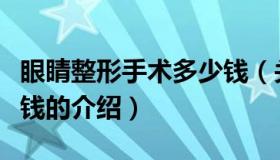 眼睛整形手术多少钱（关于眼睛整形手术多少钱的介绍）