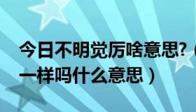 今日不明觉厉啥意思?（不觉明历和不明觉厉一样吗什么意思）