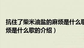 抗住了柴米油盐的麻烦是什么歌（关于抗住了柴米油盐的麻烦是什么歌的介绍）