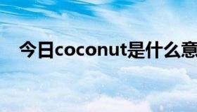 今日coconut是什么意思英语翻译成中文