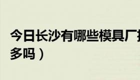 今日长沙有哪些模具厂招工（请问长沙模具厂多吗）