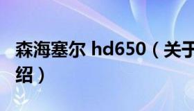 森海塞尔 hd650（关于森海塞尔 hd650的介绍）