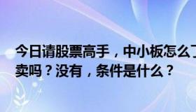 今日请股票高手，中小板怎么了？是002的开头吗？可以买卖吗？没有，条件是什么？