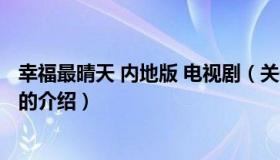 幸福最晴天 内地版 电视剧（关于幸福最晴天 内地版 电视剧的介绍）