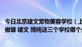 今日北京建文宠物美容学校（上海地区宠物美容师培训学校 傲雄 建文 博纯这三个学校哪个最好）