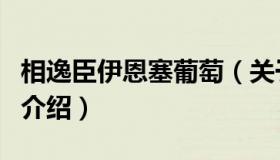 相逸臣伊恩塞葡萄（关于相逸臣伊恩塞葡萄的介绍）