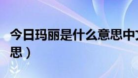 今日玛丽是什么意思中文翻译（玛丽是什么意思）