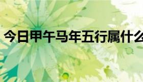 今日甲午马年五行属什么（马年五行属什么）