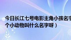 今日长江七号电影主角小孩名字（电影《长江七号》里的那个小动物叫什么名字呀）