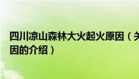 四川凉山森林大火起火原因（关于四川凉山森林大火起火原因的介绍）