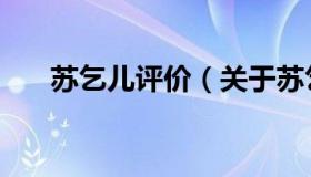 苏乞儿评价（关于苏乞儿评价的介绍）