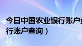 今日中国农业银行账户查询电话（中国农业银行账户查询）