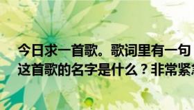 今日求一首歌。歌词里有一句“你是我这辈子最爱的人”。这首歌的名字是什么？非常紧急。在此谢谢。