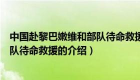 中国赴黎巴嫩维和部队待命救援（关于中国赴黎巴嫩维和部队待命救援的介绍）