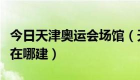 今日天津奥运会场馆（天津东亚运动会的场馆在哪建）