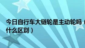 今日自行车大链轮是主动轮吗（自行车大链轮有与小链轮有什么区别）