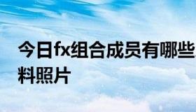 今日fx组合成员有哪些人 f x组合各个成员资料照片