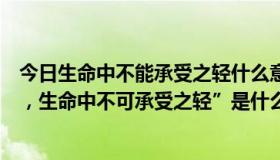 今日生命中不能承受之轻什么意思（“生命中不可承受之重，生命中不可承受之轻”是什么意思，）