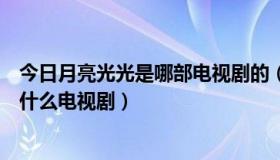 今日月亮光光是哪部电视剧的（闪亮名天里面的月华都演过什么电视剧）