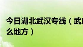 今日湖北武汉专线（武广专线具体是到武汉什么地方）